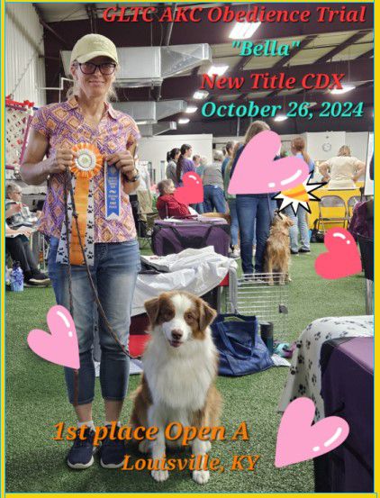 AKC Obedience
